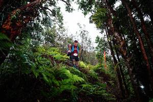 BIB: 
                            <button type="button" onclick="openModal(26204771)" class="btn btn-primary btn-sm float-right btn-popup" data-toggle="modal" data-target=".modal-high-quality">
                        <i class="fas fa-shopping-cart"></i> Add to Cart
                    </button>
                                            <button type="button" onclick="isThisMe(26204771, true)" class="btn btn-success btn-sm float-right btn-popup btn-isme hidden" data-toggle="tooltip" data-placement="bottom" title="นี่คือรูปของคุณใช่ไหม คลิกที่นี่เพื่อเอาเข้าอัลบั้ม">
                        <i class="fas fa-plus"></i> Add to album
                    </button>
                    <button type="button" onclick="isThisMe(26204771, false)" class="btn btn-warning btn-sm float-right btn-popup btn-isnotme hidden">
                        <i class="fas fa-ban"></i> Remove from album
                    </button>